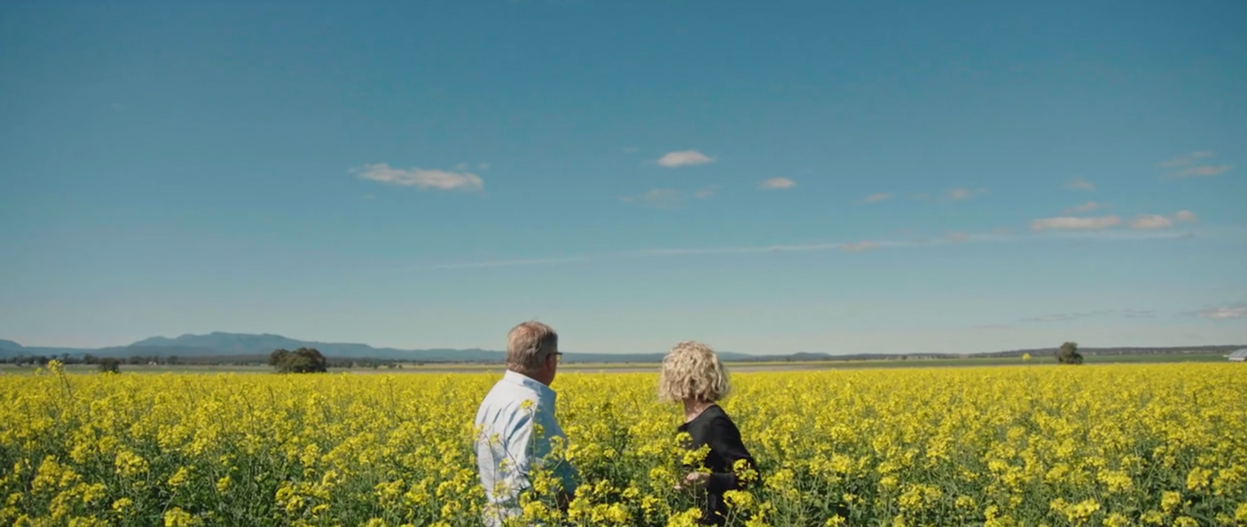 GRDC brand film